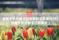 智能手机拆解全过程解析手机螺丝刀「智能手机拆解全过程解析」