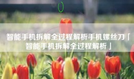 智能手机拆解全过程解析手机螺丝刀「智能手机拆解全过程解析」