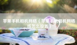 苹果手机相机网格（苹果手机相机网格线怎么设置）
