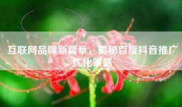 互联网品牌新篇章，揭秘百度抖音推广优化策略