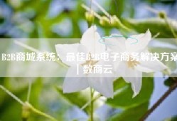 B2B商城系统：最佳B2B电子商务解决方案｜数商云