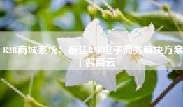 B2B商城系统：最佳B2B电子商务解决方案｜数商云