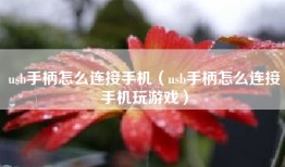 usb手柄怎么连接手机（usb手柄怎么连接手机玩游戏）