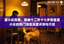 揭秘新星夏小云，深度评测与热门消息介绍