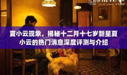 揭秘新星夏小云，深度评测与热门消息介绍