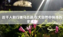 近千人毅行骡马古道 在大自然中探寻历史痕迹