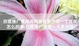 百度推广费用高吗现在多少钱一个月呢怎么回事-百度推广费用一天多少钱