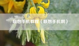 联想手机教程（联想手机啊）