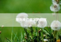 搜狗推广管家的教程