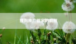 搜狗推广管家的教程