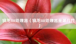 骁龙888处理器（骁龙888处理器是第几代）