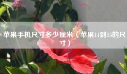 苹果手机尺寸多少厘米（苹果11到15的尺寸）