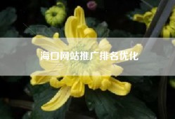 海口网站推广排名优化