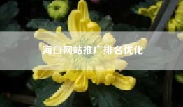海口网站推广排名优化