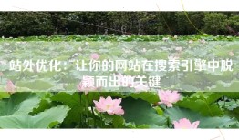 站外优化：让你的网站在搜索引擎中脱颖而出的关键