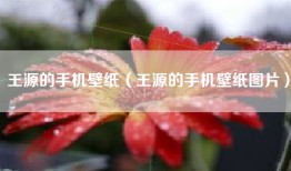 王源的手机壁纸（王源的手机壁纸图片）