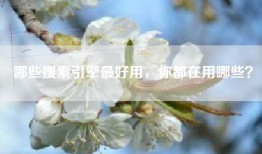 哪些搜索引擎最好用，你都在用哪些？