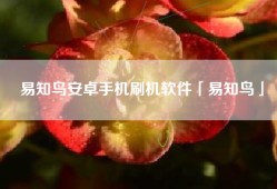 易知鸟安卓手机刷机软件「易知鸟」