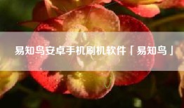 易知鸟安卓手机刷机软件「易知鸟」