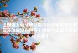 途观连上蓝牙放歌没声音手机连接车载蓝牙放歌没有声音「途观连上蓝牙放歌没声音」