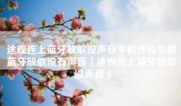 途观连上蓝牙放歌没声音手机连接车载蓝牙放歌没有声音「途观连上蓝牙放歌没声音」