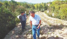 猎获有奖 受损有赔 修水县控野猪危害有“新招”