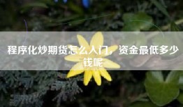 程序化炒期货怎么入门，资金最低多少钱呢