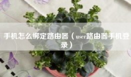 手机怎么绑定路由器（user路由器手机登录）