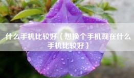 什么手机比较好（想换个手机现在什么手机比较好）