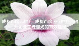 成都百度seo推广_成都百度 SEO 推广，提升企业在线曝光的有效途径