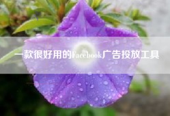 一款很好用的Facebook广告投放工具