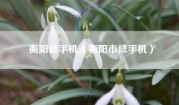 衡阳修手机（衡阳市修手机）