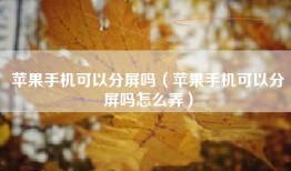 苹果手机可以分屏吗（苹果手机可以分屏吗怎么弄）