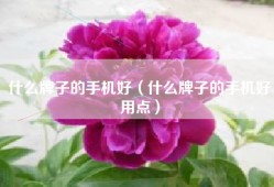 什么牌子的手机好（什么牌子的手机好用点）