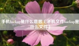 手机backup是什么意思（手机文件backup是什么文件）