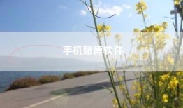 手机赌博软件