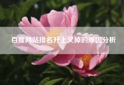 百度网站排名升上又掉的原因分析