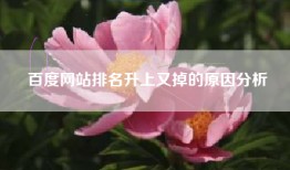 百度网站排名升上又掉的原因分析