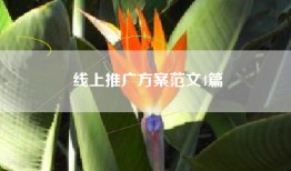 线上推广方案范文4篇