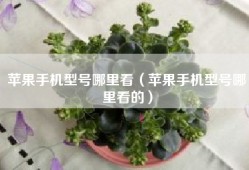 苹果手机型号哪里看（苹果手机型号哪里看的）