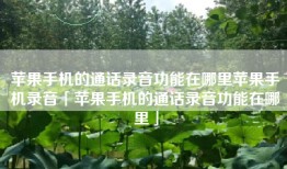 苹果手机的通话录音功能在哪里苹果手机录音「苹果手机的通话录音功能在哪里」