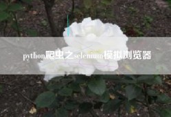 python爬虫之selenium模拟浏览器