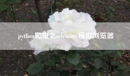 python爬虫之selenium模拟浏览器
