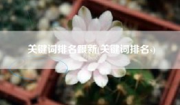 关键词排名跟新(关键词排名s)