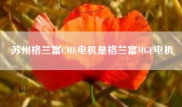 苏州格兰富CME电机是格兰富MGE电机