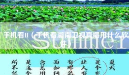 手机看H（手机看湖南卫视直播用什么软件）