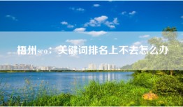 梧州seo：关键词排名上不去怎么办