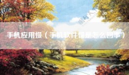 手机应用慢（手机软件慢是怎么回事）