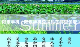 限定手机（限定手机兑换码在哪里领取）