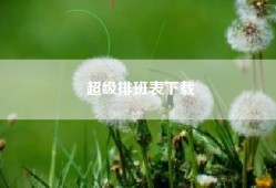 超级排班表下载